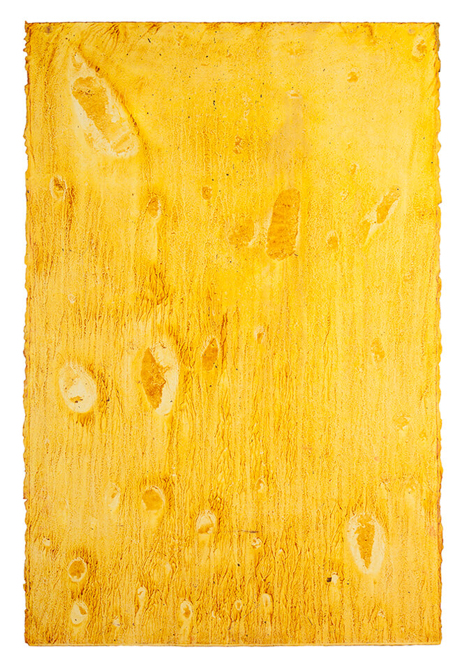 curcuma papel 17.jpg